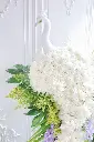 IMG_7198.webp